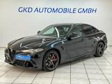Alfa Romeo Giulia Quadrifoglio*Carbon*H&K*Kamera*Navi*DAB+*