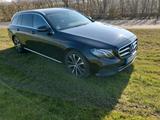 Mercedes-Benz Mercedes E-Klasse W213 Kombi 220D - Mercedes-Benz 220: 220e