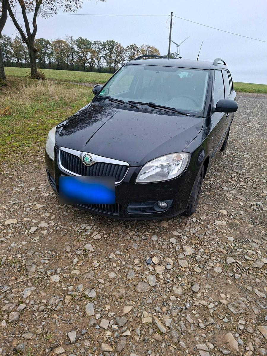 Skoda Fabia 2010 — вигляд ззаду