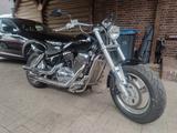 Suzuki VZ 800