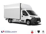 Peugeot Boxer Leichtbaukoffer Business 435 L3 BlueHDi 14 - Peugeot Doppelkabine