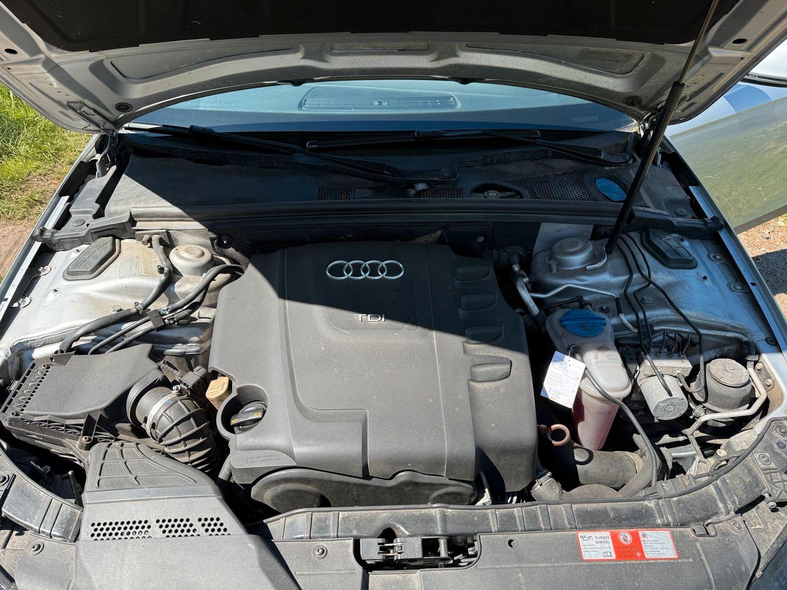 Audi A4 2008 — photo 13