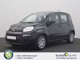 Fiat Panda Pandina 1.0 GSE Hybrid Icon - Fiat Panda Neuwagen mit Benzin-Antrieb