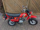 Honda CY50 BJ 1978 sehr gepflegt (wie Dax oder Monkey) - HONDA DAX 50