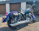 Honda VT750 C2 Shadow - Offers matching your search criteria