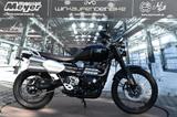 Triumph Scrambler 1200 X *kostenl. Lieferung - TRIUMPH SCRAMBLER 1200 X