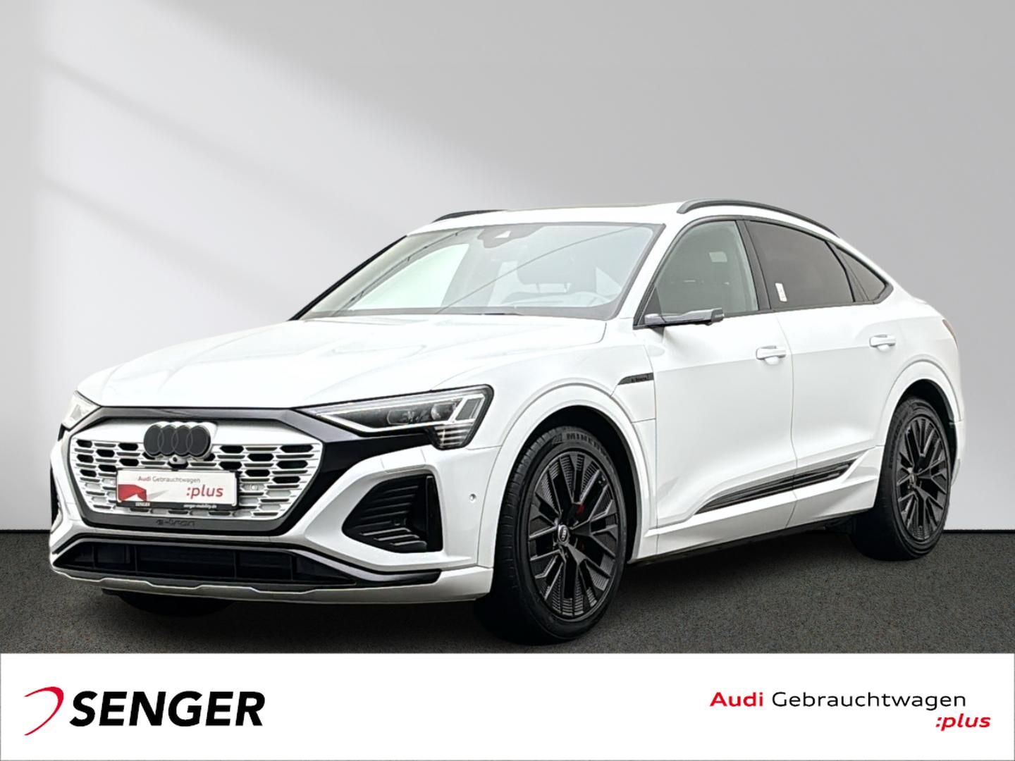 Audi Q8 e-tron Sportback 55 S line quattro Matrix HUD foto 1