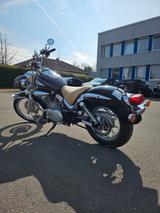 Suzuki Intruder VL125 Bobber/Chopper  - SUZUKI INTRUDER 125