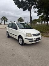 Fiat Panda 1.3 MJT 16V Emotion - Fiat Panda Emotion mit Diesel-Antrieb