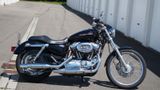 Harley-Davidson Sportster 1200 Custom - HARLEY-DAVIDSON 2004 1200 SPORTSTER