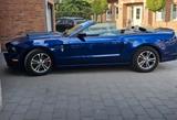 Ford Mustang Cabrio - Ford Mustang: For