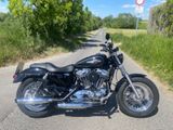 Harley-Davidson Sportster 1200 Custom, 5HD, KESS Tech - Offers matching your search criteria