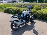 Yamaha Bulldog Belgarda - Angebote