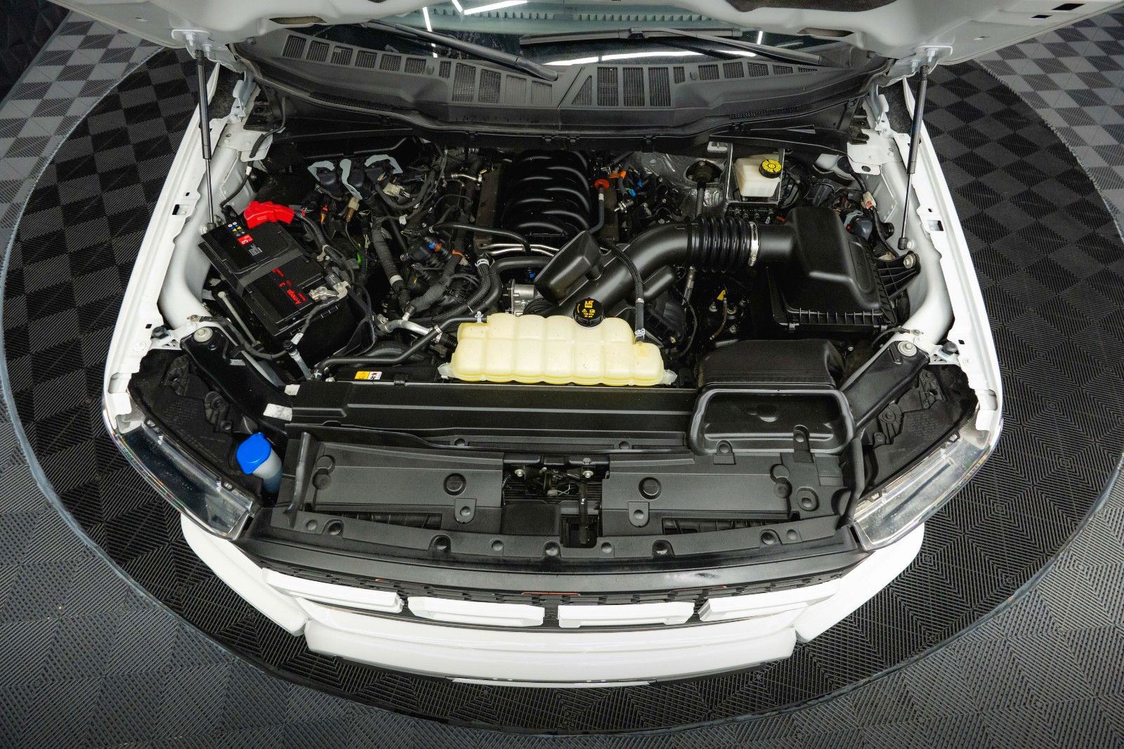 Fahrzeugabbildung Ford F150 5.0L V8 4x4 Offroad SuperCrew RAPTOR 19%