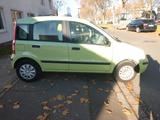 Fiat Panda 1.2 8V Dynamic - Fiat Panda Gebrauchtwagen