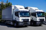 MAN Man TGM 15.290 Curtainsider / Glob / Manual - MAN Gl