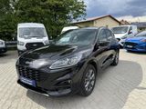 Vorschaubild Ford Kuga 2.5 PHEV ST-Line X ACC TWA Winter-P. PANO