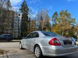 Mercedes-Benz E Klasse  280 1 HAND VOLL MB-SCHECKHEFT 30 KM - Mercedes-Benz E 280 aus 2006