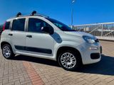 Fiat Panda Panda Easy PDC Klima Multilenkrad - Fiat Panda: Kombi