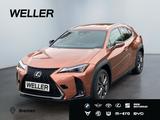 Lexus UX 300h F SPORT Design *LED*SHZ*Kamera*CarPlay* - Lexus Gebrauchtwagen in Bremen