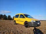Volkswagen VW Caddy 2. Hand mit LKW-Zulassung - Volkswagen Caddy: Lkw Zulassung