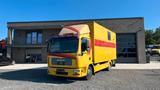 MAN TGL 10.180 Euro 4  Pferdetransporter Horse - Tier-/Pferdetransport 4 pferde