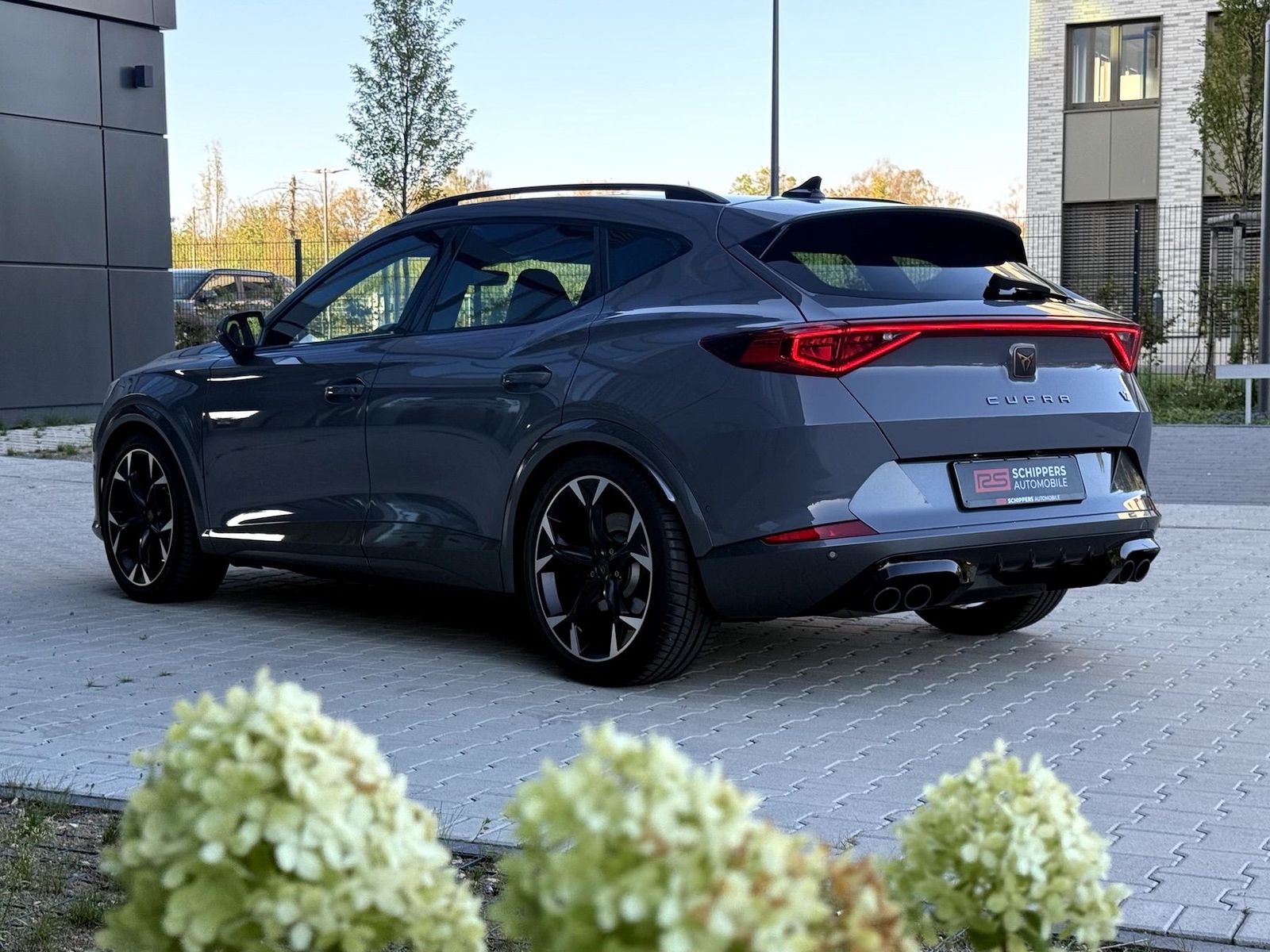 Fahrzeugabbildung CUPRA Formentor VZ 2.0 TSI DSG 4Drive 360°|PANO|KW V3