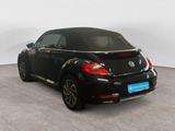 Volkswagen Beetle Cabriolet 1.2 TSI DSG Design *Navi*Sitzhe - gebrauchte VW Beetle aus dem Jahr 2017