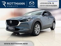 Mazda CX-30 - Vorschau Bild 1