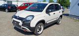 Fiat Panda 4x40° Sondermodell nur 1983Stück - Fiat: X 19