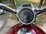 Harley-Davidson XL Sportster 883 C - HARLEY-DAVIDSON 2009 883