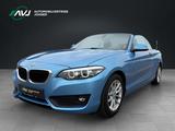 BMW 220i Cabrio Advantage | Leder | ECC - blaue BMW 220