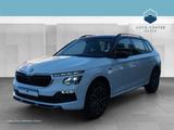 Skoda Kamiq 1.0 TSI Tour ACC*Fernlichtass.*Kam.*KlimaA - Skoda Gebrauchtwagen in Leipzig