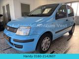 Fiat Panda 1.2 8V MyLive*Klima*HU-Neu* - Fiat Panda: My