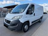 Fiat DUCATO 2.0 TOP ZUSTAND *REGAL SYSTEM *MWST - Fiat Ducato: 2.0