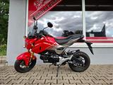 Honda MSX125 - Honda Motorräder in Chemnitz