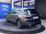 Ford Kuga 2.0 EcoBlue 4x4 Aut. ST-LINE X - Ford Kuga: Panoramadach