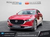 Mazda CX-30 Exclusive-Line Allrad Leder Schiebedach/Ma - Mazda CX-30 Exclusive-Line mit Hybrid-Antrieb (Benzin/Elektro)
