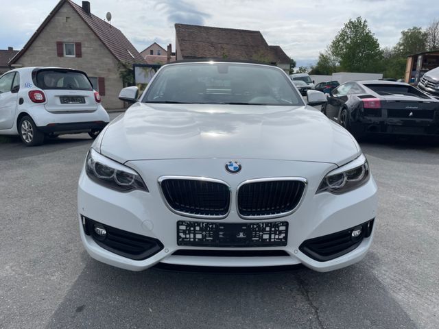 BMW 2 Cabrio 218 i Advantage/1.HAND/LEDER/KAMERA/LED