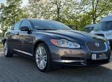 Jaguar XF 3.0 V6 Diesel S Luxury*LEDER*NAVI*XENON*KAMER - Jaguar XF: 3.0