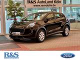 Ford Puma Cool&Connect+Lenkradheizung+Tempo+Klima - Ford Puma Cool&Connect