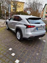 Lexus NX 300 300h E-FOUR Luxury Line Luxury Line - Lexus: Nx