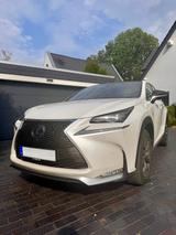 Lexus NX 350h Sport - Lexus: Sport