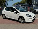 Fiat Punto 1.2 Easy 1.HD*Klima*Allwetter*Kein TÜV* - Fiat Punto: Weiß