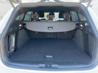 Ford Focus - Vorschau Bild 14
