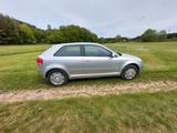 Audi A3 1.6 8P | 97.519 km | 2. Hand | fah... - Audi A3 aus 2006: 9.1