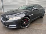 Jaguar XJ Premium Luxury AWD  KAMERA NAVI LEDER PANO - Jaguar aus 2015