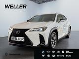 Lexus UX 300h F SPORT Design *LED*Kamera*SHZ*PDC v+h*