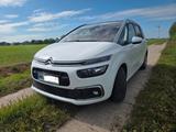 Citroën C4 SpaceTourer  - gebrauchte Citroën C4 SpaceTourer aus dem Jahr 2019