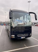 MAN R02 Lions Star (R07coach) - Angebote